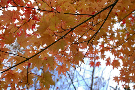 20091012_06.jpg