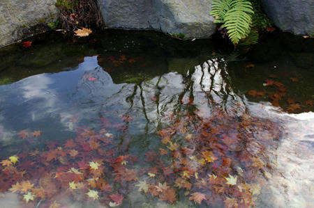 20091025_02.jpg