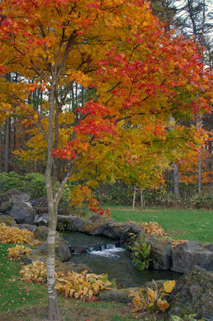20091025_05.jpg