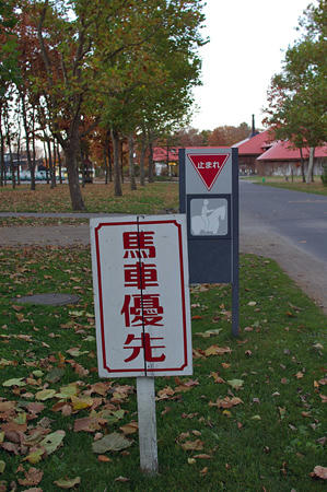 20091025_06.jpg