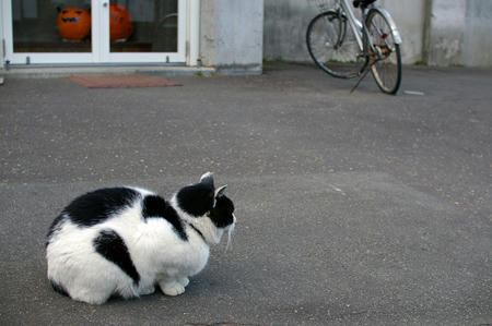 20091025_09.jpg