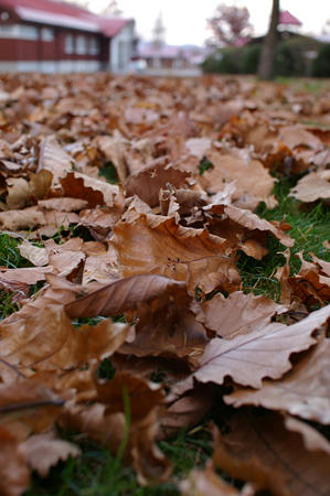 20091025_10.jpg