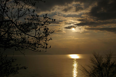 20091107_3.jpg