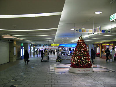 200911_nichijo03.jpg