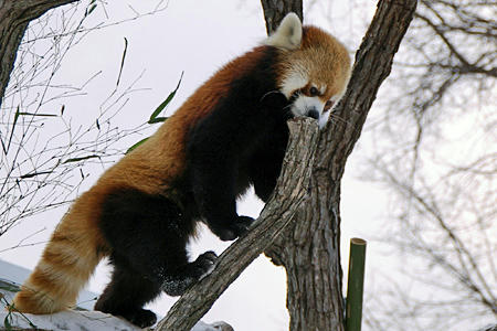 201001_zoo01.jpg