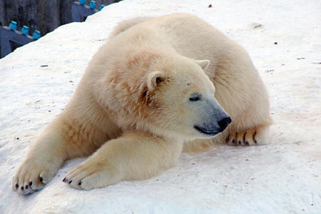 201001_zoo03.jpg