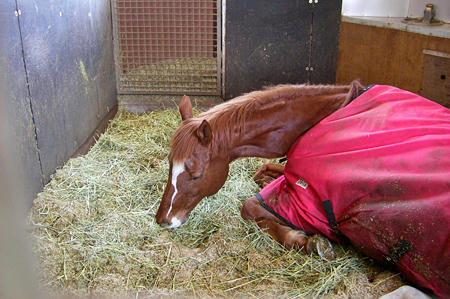 201002_NHP03.jpg