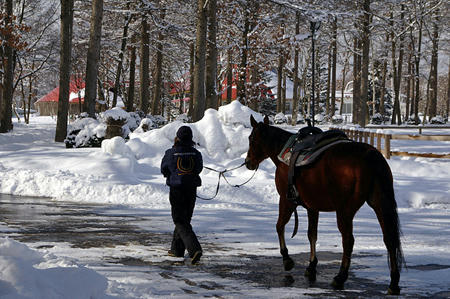 201002_NHP04.jpg
