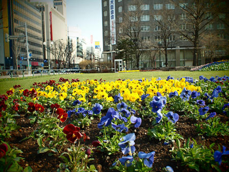 20100424_02.jpg