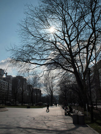 20100424_03.jpg
