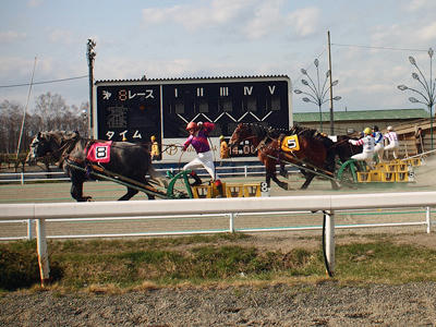 20100501_01.jpg