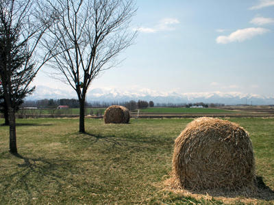 20100502_02.jpg