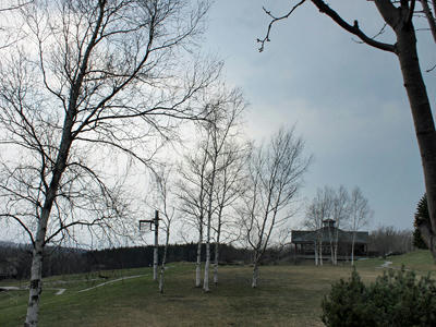 20100503_03.jpg