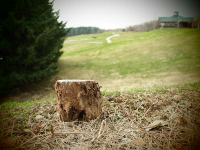20100503_05.jpg