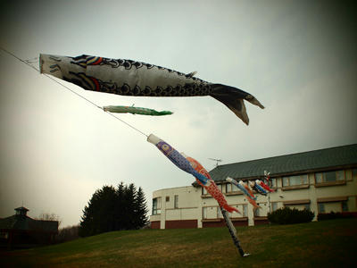 20100503_06.jpg