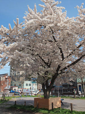 20100515_06.jpg