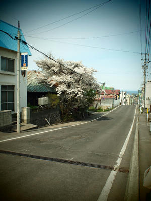 20100515_10.jpg