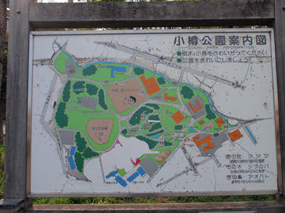 20100515_11.jpg