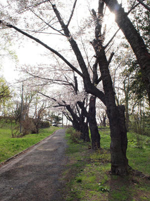 20100515_12.jpg