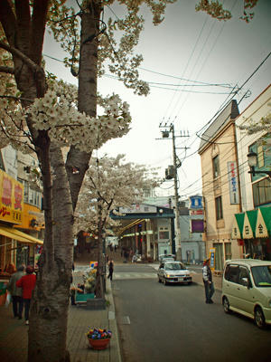 20100515_15.jpg