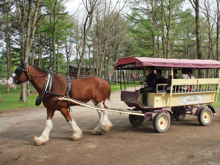20100523_01.jpg