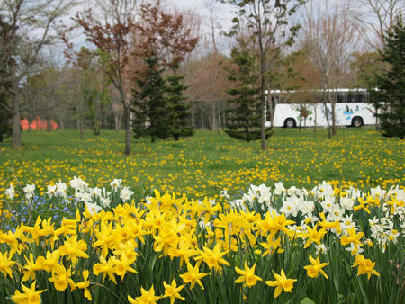20100523_03.jpg