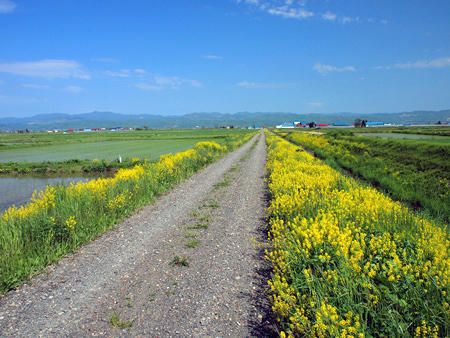 20100606_03.jpg