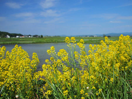 20100606_04.jpg