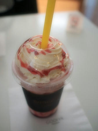 20100819_05.jpg