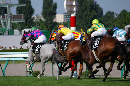 20100828_01.jpg