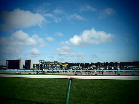 20100918_keiba01.jpg