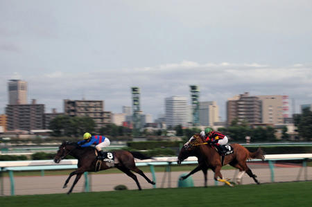 20100918_keiba02.jpg