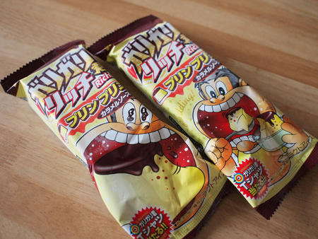 20101010_garigarikun.jpg