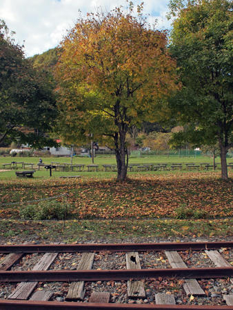 20101020_08.jpg