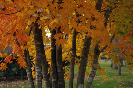 20101106_07.jpg