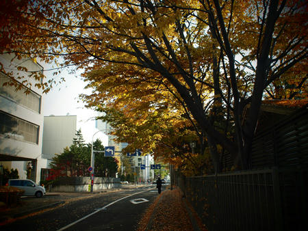 20101121_03.jpg