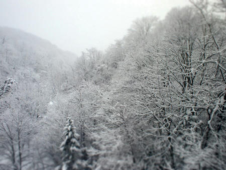 20110103_01.jpg
