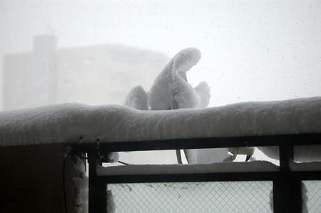 20110110_01.jpg