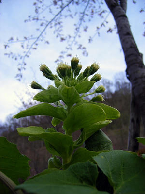 20110316_01.jpg