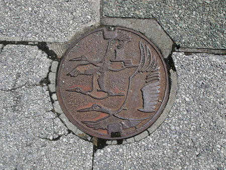 20110503_03.jpg