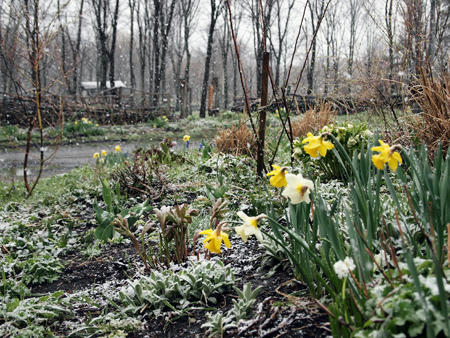 20110504_05.jpg