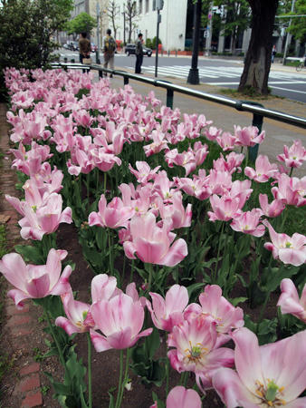 20110605_02.jpg