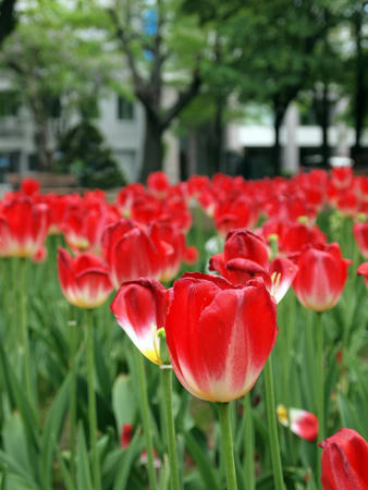 20110605_03.jpg