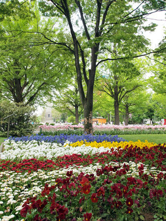 20110605_04.jpg