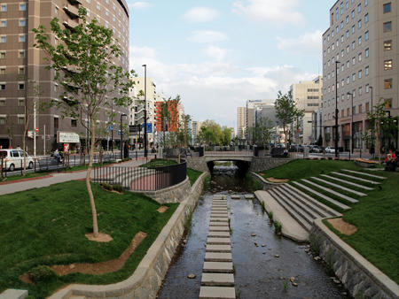 20110605_07.jpg
