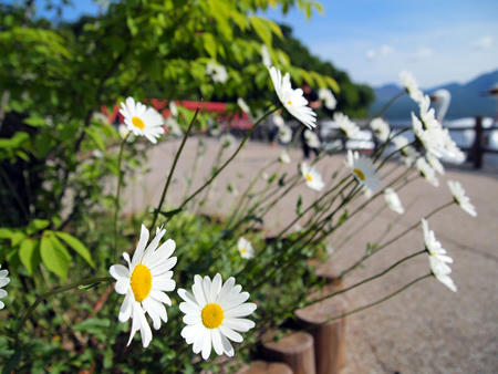 20110626_02.jpg