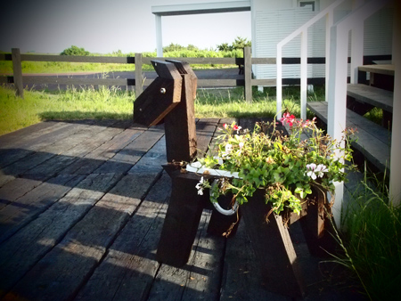 20110812_06.jpg