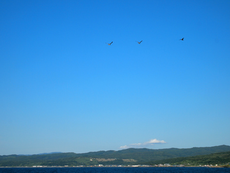 20110813_10.jpg