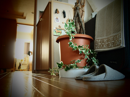 20110821_03.jpg