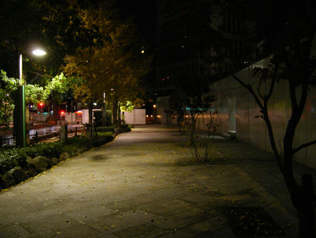 201112_tokio001.jpg